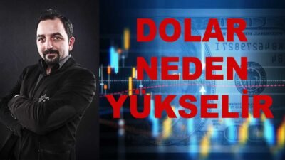 Dolar Neden Yükselir ? Dolar Nasıl Düşer ? Dolar Piyasaları