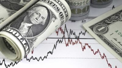 Ekonomistlerin Güncel Dolar Yorumu Dolar Ne Kadar Olacak ?