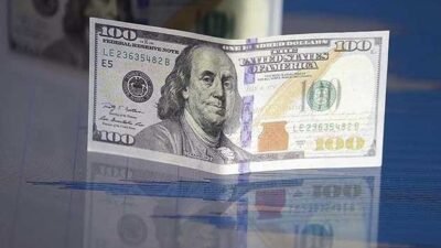 Ekonomist Oktay Teknik Analiz Dolar Hedef 16 TL